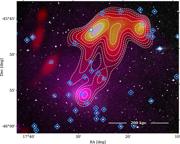 Figure 1. Refer to the following caption and surrounding text.