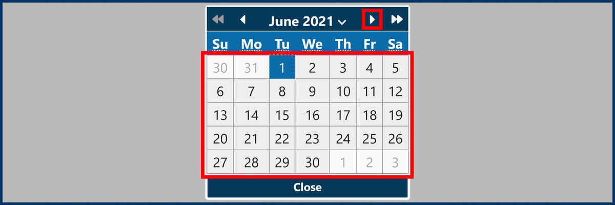 Travel Information section Calendar June1 Screenshot of the Travel Information section and travel dates Calendar