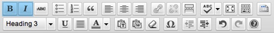 Be bold. And subtle. image of wordpress formatting bar