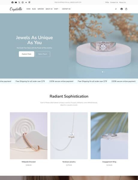 Ecommerce Website Templates 45