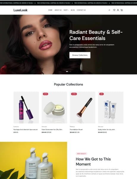 Ecommerce Website Templates 47