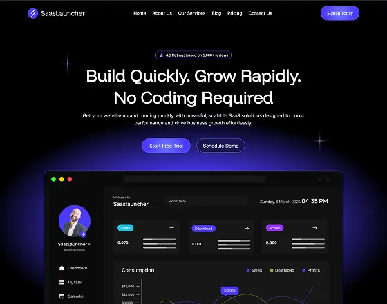 Home Template 1 Best Saas WordPress Themes