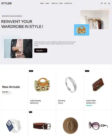 Ecommerce Website Templates 11