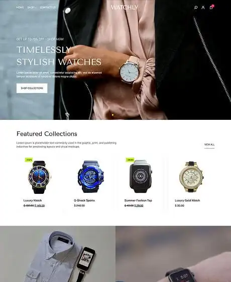 Ecommerce Website Templates 13