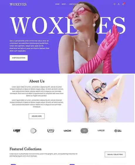 Ecommerce Website Templates 15