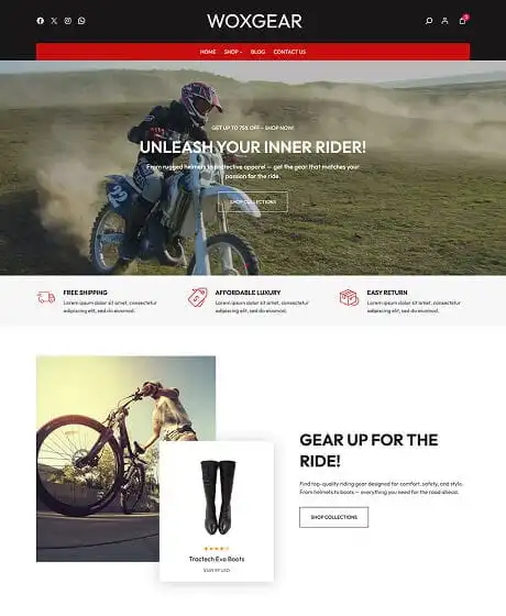 Ecommerce Website Templates 17