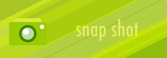 Photoshopの「スナップショット」を使って効率の(・∀・)イイ!!作業をしよう