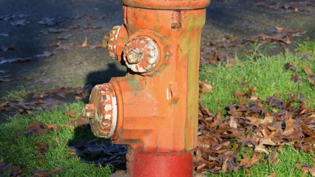 Fire hydrant in the sun, Sapperton Landing.