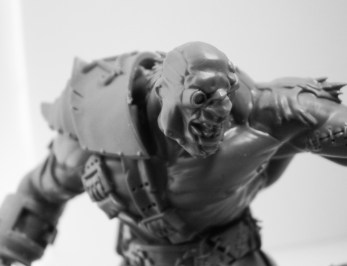 ogryn new head cu
