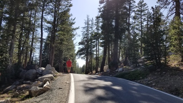 Steve walking down a road in Yosemite