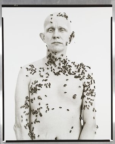 avedon.jpg