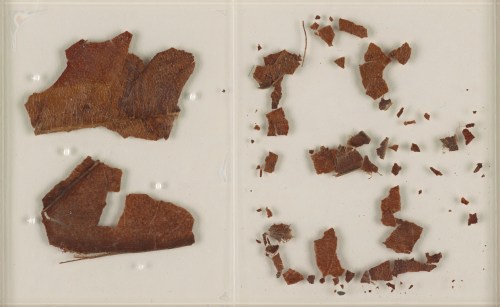 cran epercy shelley