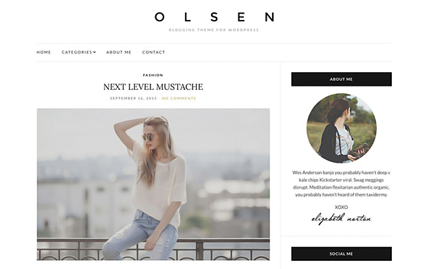 30-top-notch-free-wordpress-themes2