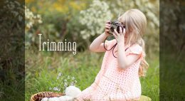 Photoshopいらず!CSSで画像を中央トリミングする方法(レスポンシブ対応)