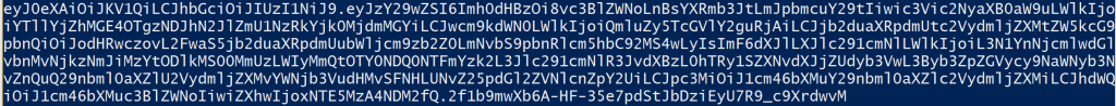 Screenshot of token
