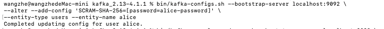 kafkaalice