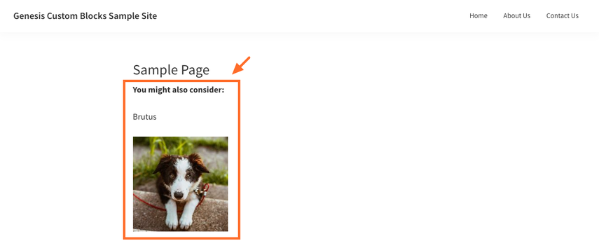 Screenshot of Post field on the frontend of the site