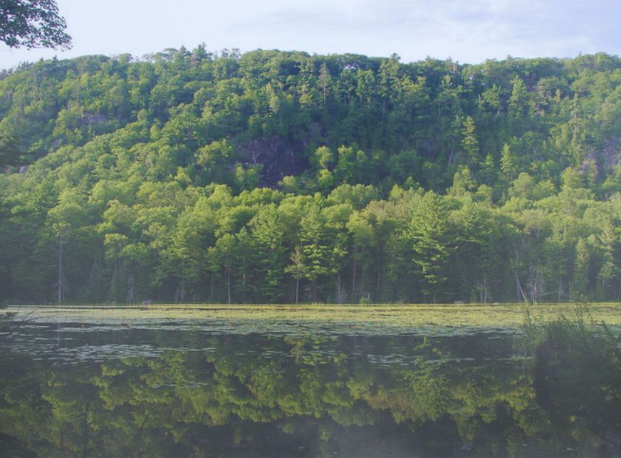 homepage-about-b1-left