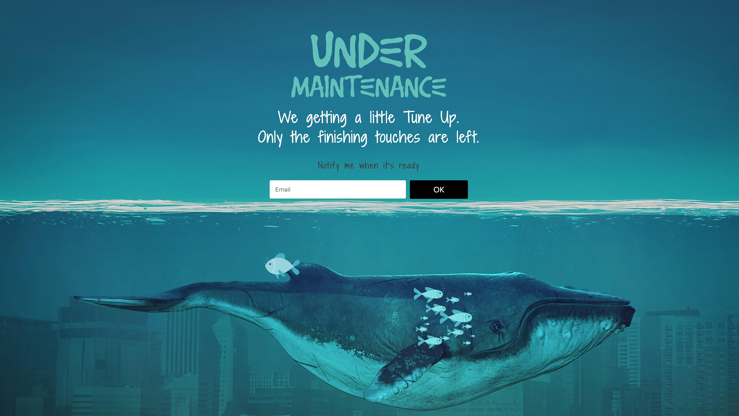 divi.expert_maintenance_whale_layout_2560x1440 Divi.Expert Under maintenance layout