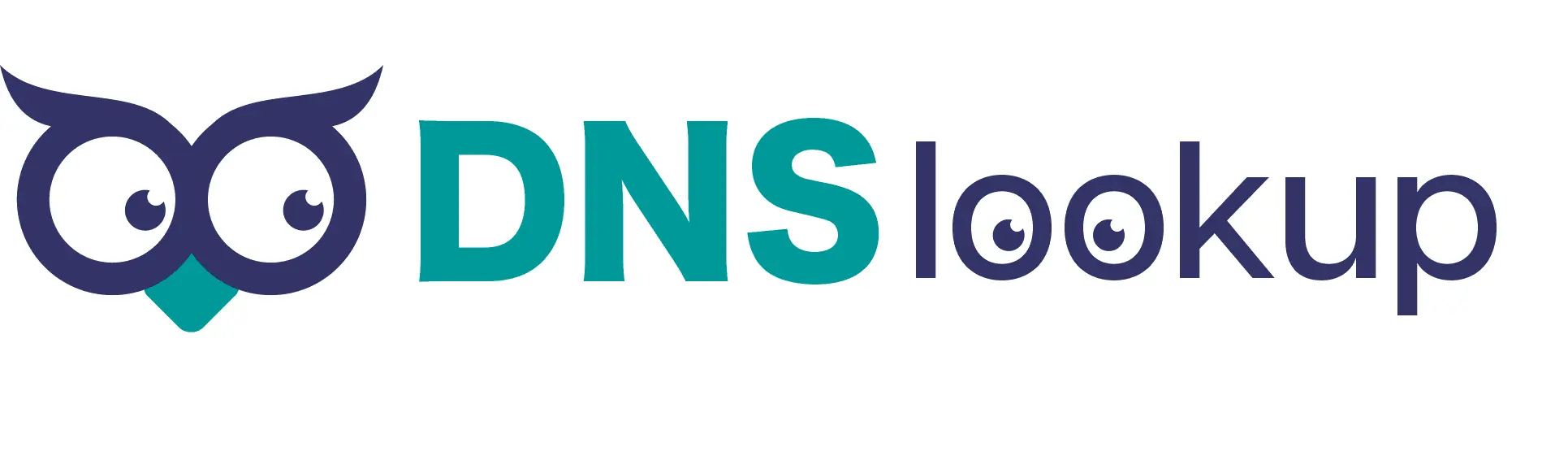 DNS Lookup Pro - Advanced DNS Record Analysis and Troubleshooting Tool