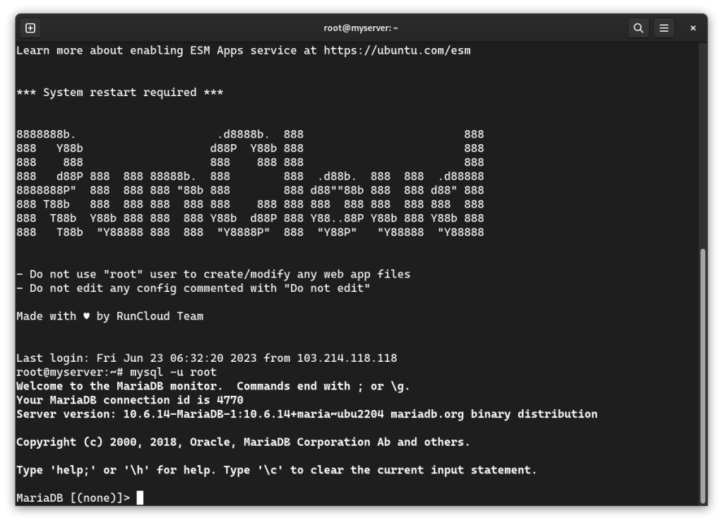 Logging in to RunCloud via SSH