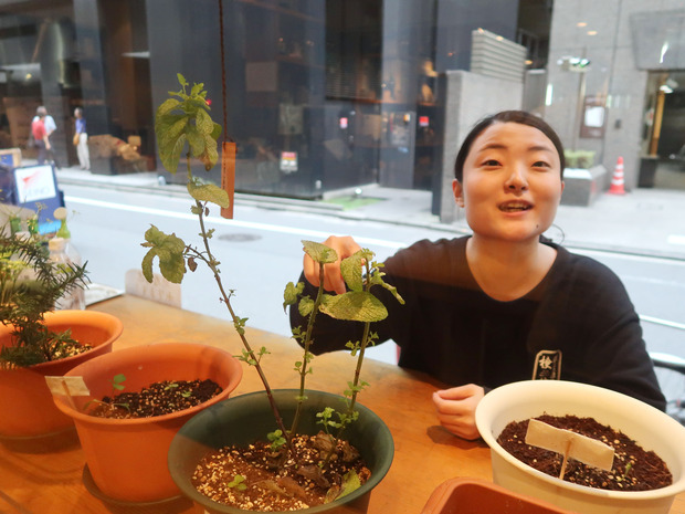 ハーブをいただきます。