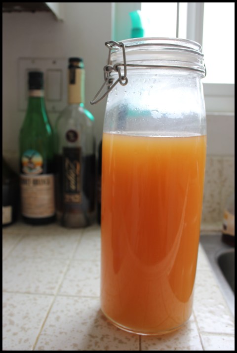 Fernet and Zaya in the background, chomping at the bit.