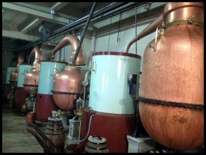 And how he got into the stillroom we'll never know. IMG_0322