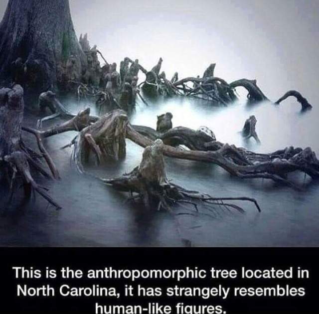 FB_IMG_1446910732489.jpg image