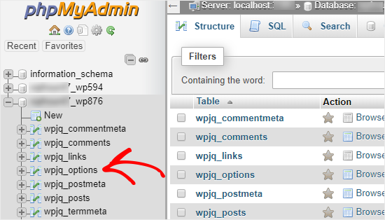 phpMyAdmin open database