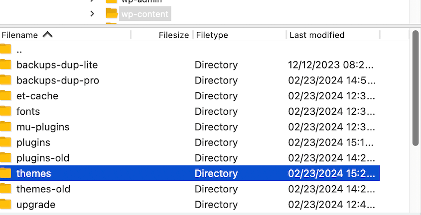 Upload multisite plugins and themes
