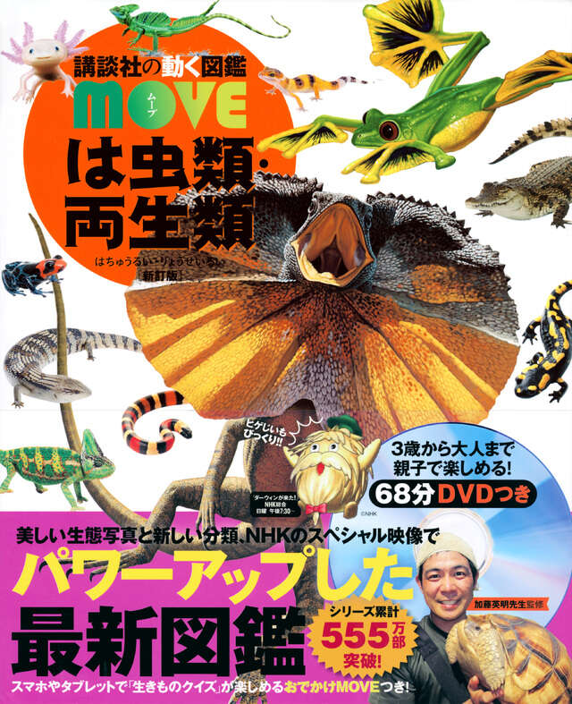 は虫類・両生類 新訂版