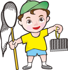 夏休みに昆虫採集する男の子