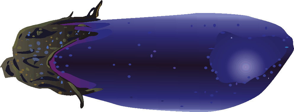紺色のナスのイラスト