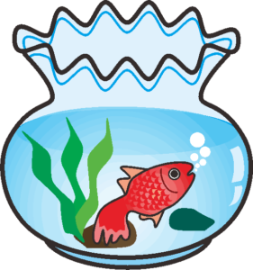 丸い金魚鉢のなかの金魚