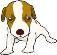 ジャックラッセルテリアの子犬 ジャックラッセルテリアの子犬のイラスト