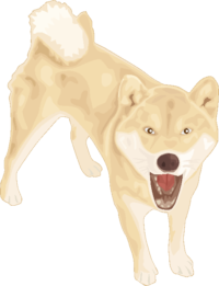 柴犬 吠えている若い柴犬のイラスト