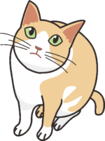 見上げる猫 空をじっと見上げている好奇心の強い猫のイラスト