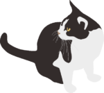 白黒猫 後ろを振り返っている白黒猫のイラスト