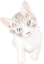 可愛い子猫 鋭い目つきが可愛い子猫のイラスト