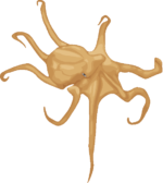 タコ ユーモラスななかにも不気味さが漂う蛸のイラスト