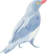 青い鳥 目の大きい青い小鳥のイラスト