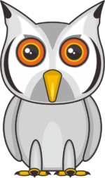 コノハズク 目が鋭くて可愛いコノハズクのイラスト