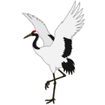 タンチョウ(タンチョウヅル) 神聖視されている清楚なタンチョウ(丹頂鶴)のイラスト
