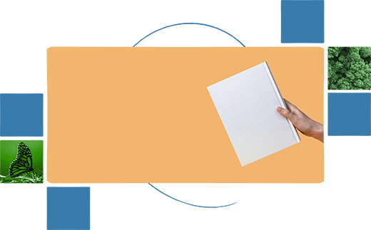 Feu servir el Manual del KDE Eco