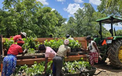 2024 End of Year Recap