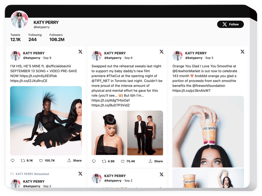 WordPress-Twitter-Feed-Plugin