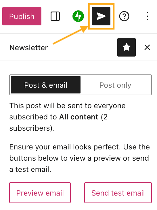 An arrow points to the Newsletter icon, with buttons shown for preview email and send test email.