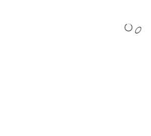 Cabrera Real Estate logo design