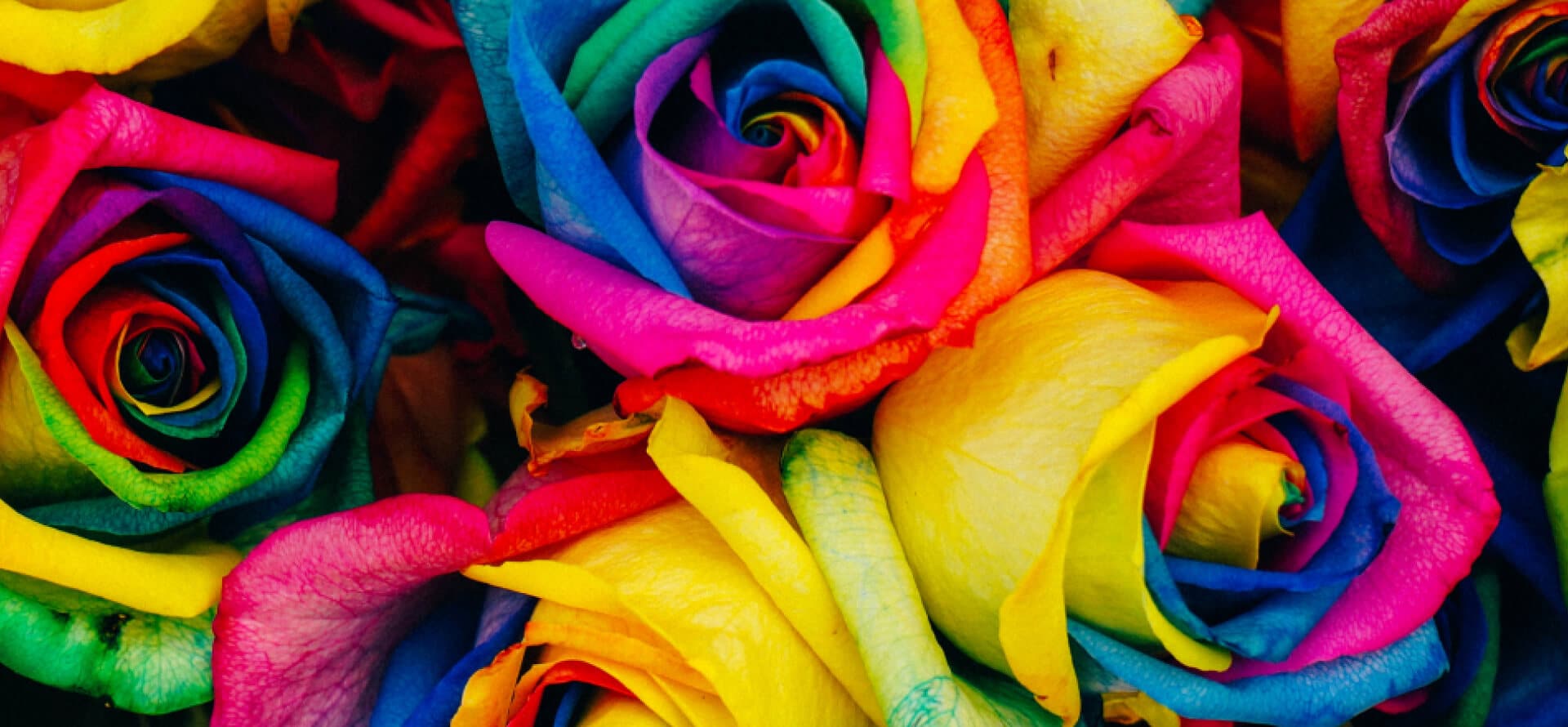 Image Comparison 9 Right Image